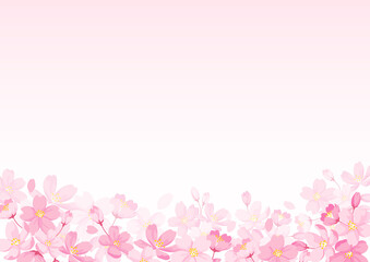 Fototapeta na wymiar 桜の花とピンクのグラデーション背景　ベクター素材