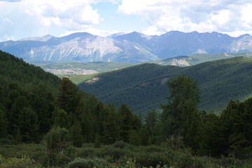 Obraz premium Beautiful landscape of Altay region, Russia