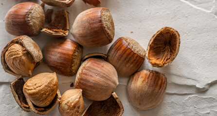 hazelnut close-up