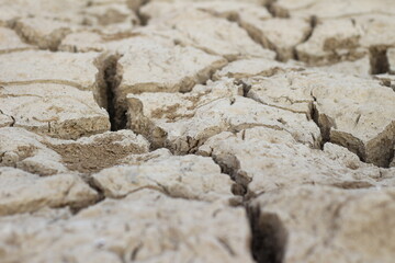 Closeup detail of dry cracked lakebed