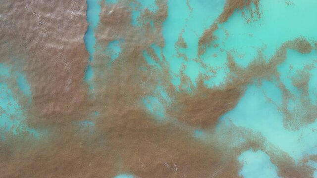 Aerial view of caribbean sea with sargasso in Cancun