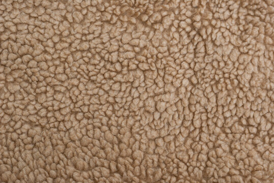 Light brown sheep fur with a texture of fibers