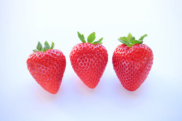 栃木県産いちご　新品種　とちあいか