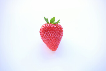 栃木県産いちご　新品種　とちあいか