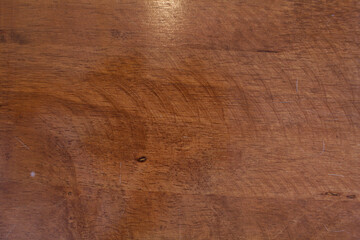 Texture of bark wood use as natural background.