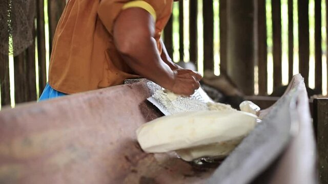 Side view of an indigenous woman of the siona culture in Ecuador grating yuca 