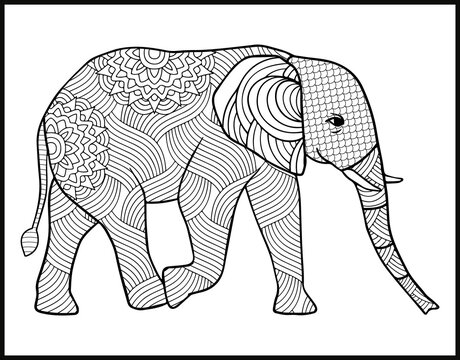 Elephant coloring book for adults vector illustration