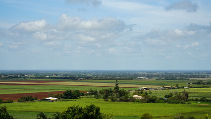 Fototapeta na wymiar Panoramic view of sugarcane fields from the Hummock Lookout, Bundaberg, Queensland, Australia. 
