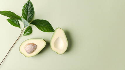 Plant background for demonstration of cosmetics, products. Avocado on a green pastel background