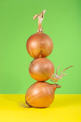 Three large ripe bulbs on a colored background