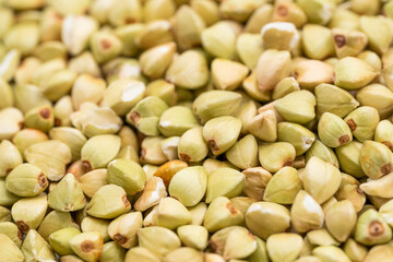 Fresh buckwheat on a pure white background