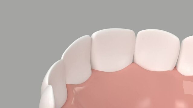 Showing the removal of removal from toothpaste or mouthwash 3d_EP3