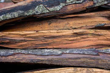 Bois coup&eacute; en deux, texture de bois et &eacute;corces 