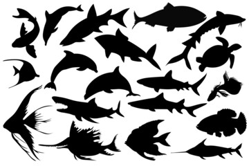 Obraz premium Fish silhouettes set vector. Collection sea and lake fishes hand drawing silhouette, vector illustration 