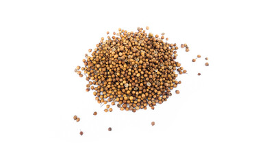 Top view of coriander seed on white background. Soft and selective focus, Asian ingredients concept.