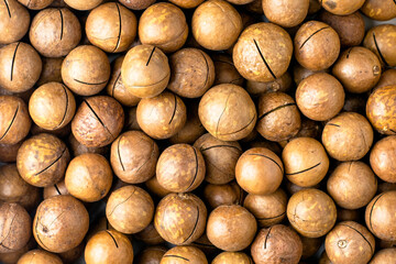macadamia nuts with saws for splitting background backdrop