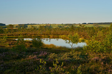 Das Naturschutzgebiet 