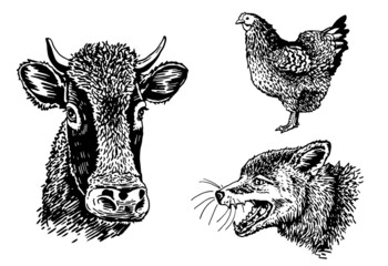vector collection of farm animals isolated on white background, rural wildlife elements for design,coloring and printing