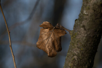 autunno