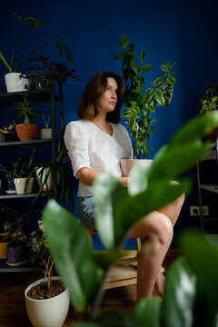 Beautiful woman with a lot of house plants at home. Girl holding a pot with pedilanthus
