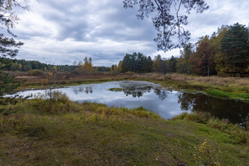 Autumn landscape with a small forest river. Cloudy weather in the forest Idyllic autumn landscape. Clean nature, ecology, seasons, environmental protection. Atmospheric and peaceful landscape