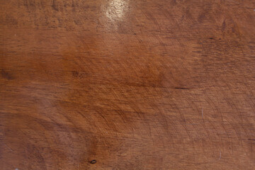 Texture of bark wood use as natural background.