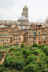 Fototapeta na wymiar View of Siena Italy with its cathedral.