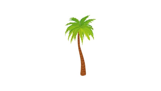 High palm tree icon animation best cartoon object on white background