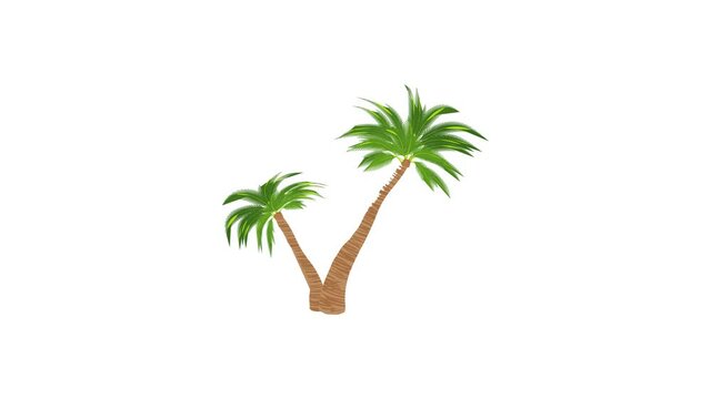 Two palm trees icon animation best cartoon object on white background