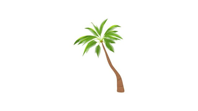 Sloped palm tree icon animation best cartoon object on white background