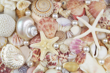 Seashells, pearls and starfishes as background