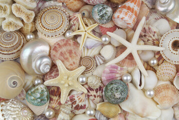 Pearls, sea shells and starfishes as background
