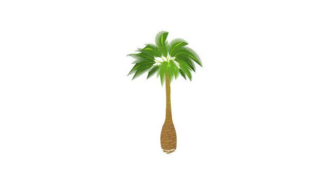 Green palm icon animation best cartoon object on white background