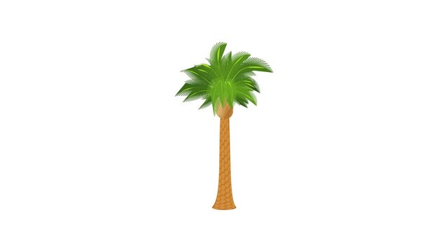 Hardwood palm icon animation best cartoon object on white background