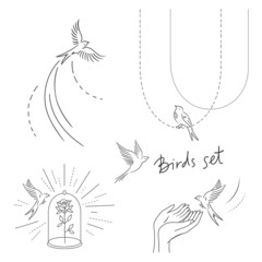 Linear illustrations of birds.