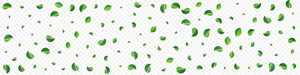 Green Greens Forest Vector Panoramic Transparent