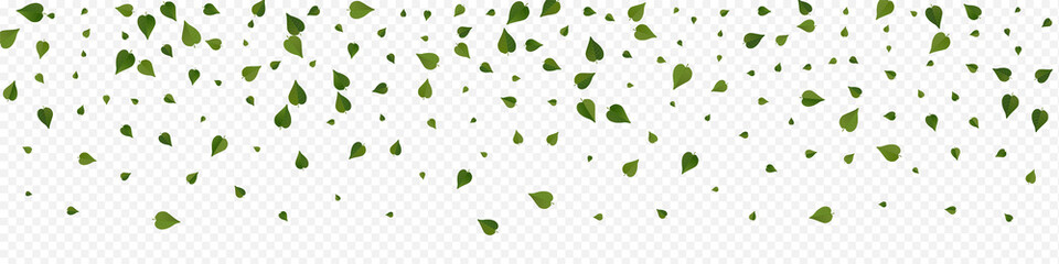 Swamp Greens Herbal Vector Panoramic Transparent