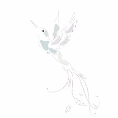 A sketch of a humming bird. © AB_artbar