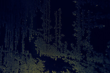 Frost on the window, on a black background, close-up patterns, soft selective selective focus. Drawings of cold on glass