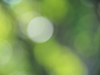 bokeh background wall paper -photo