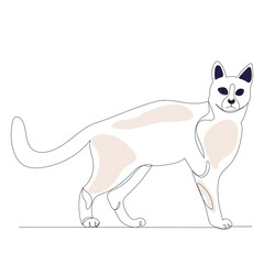 cat continuous line drawing ,vector, isolated