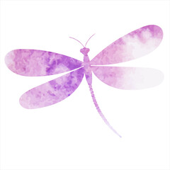 dragonfly watercolor purple silhouette,on white background,vector © zolotons