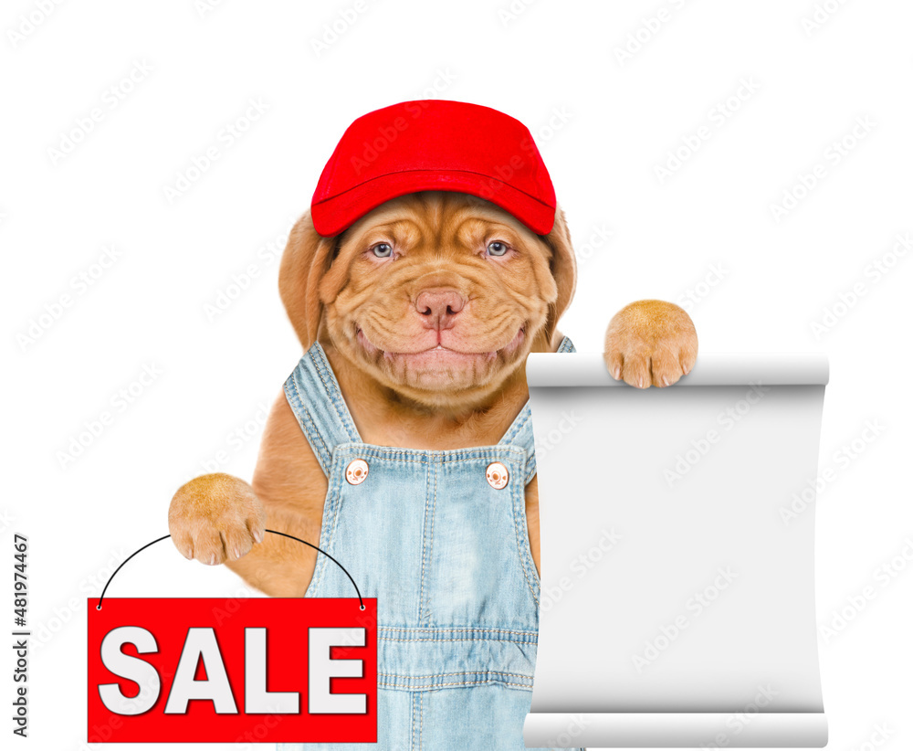 Poster Puppy wearing  red cap and overalls shows empty list and sales symbol. Isolated on white background