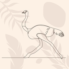 ostrich continuous line drawing, on an abstract background, vector, isolated