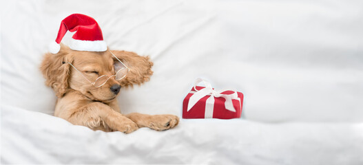 Funny English Cocker spaniel puppy wearing eyeglasses and red santa hat sleeps with gift box under...