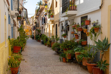 narrow street with many plants and flowers in the center of the historic old town