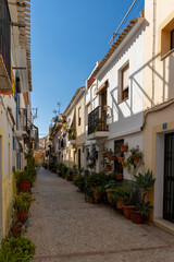 narrow street with many plants and flowers in the center of the historic old town