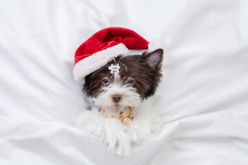 Sleepy Biewer Yorkshire terrier  puppy wearing red santa hat hugs toy bear under white blanket on a...