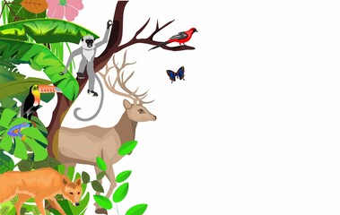 Fototapety  Vector jungle rainforest foliage  border illustration with deer, toucan, gibbon ape, wolf and butterflies