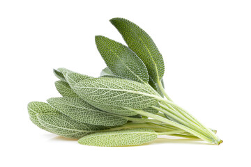 Sage herb leaves isolated on white